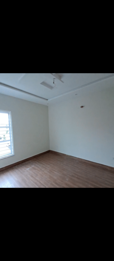 1000144971 1 450x1024