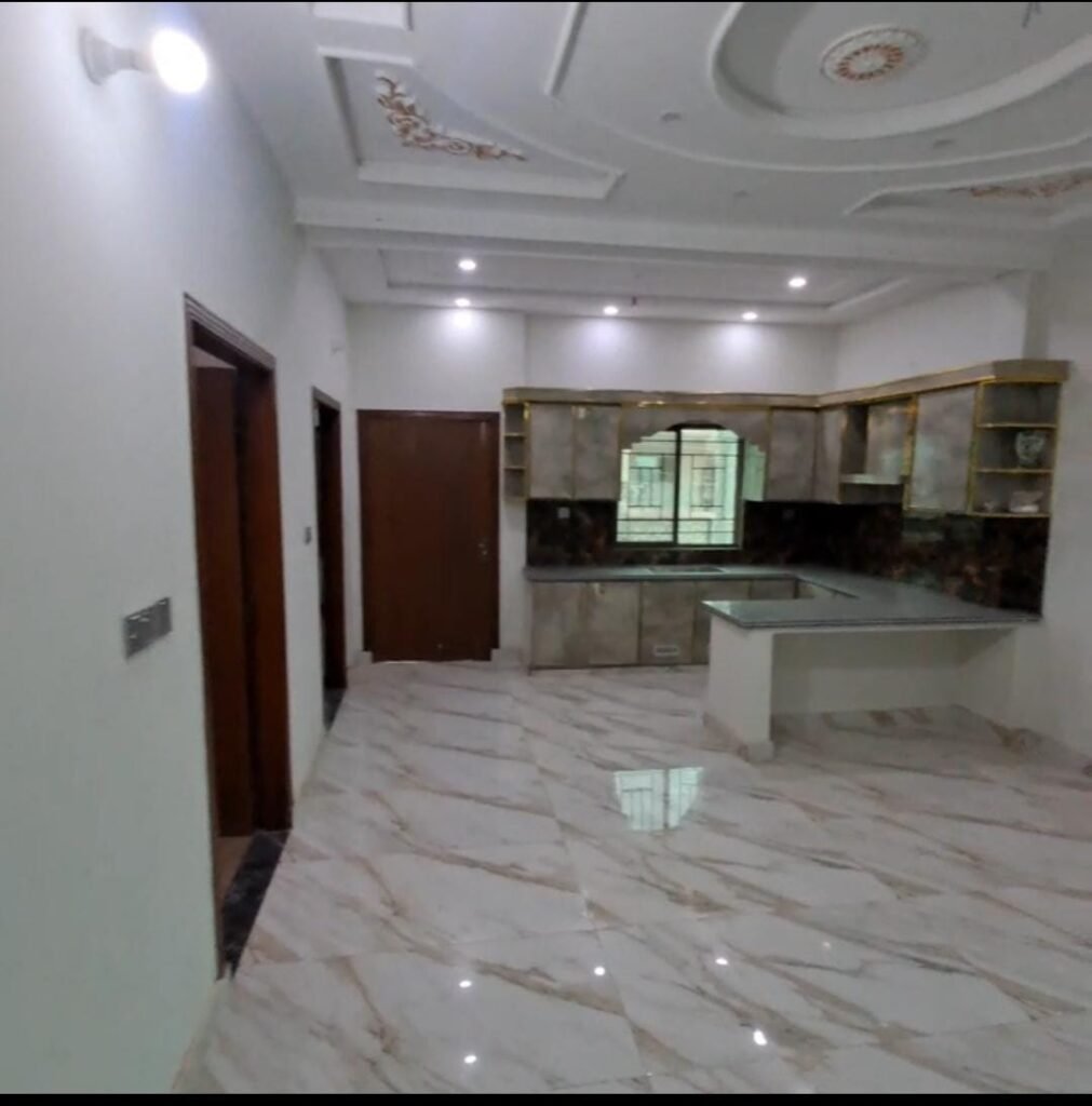 1000147234 1011x1024