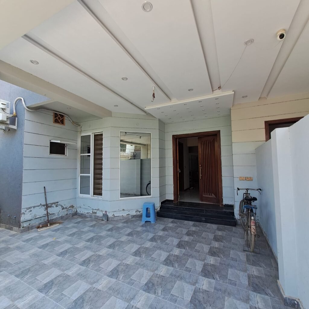 1000152456 1024x1024