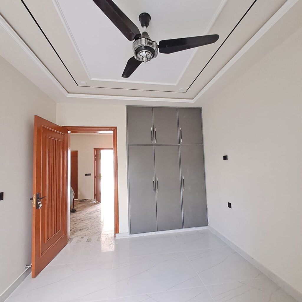 1000158045 1024x1024