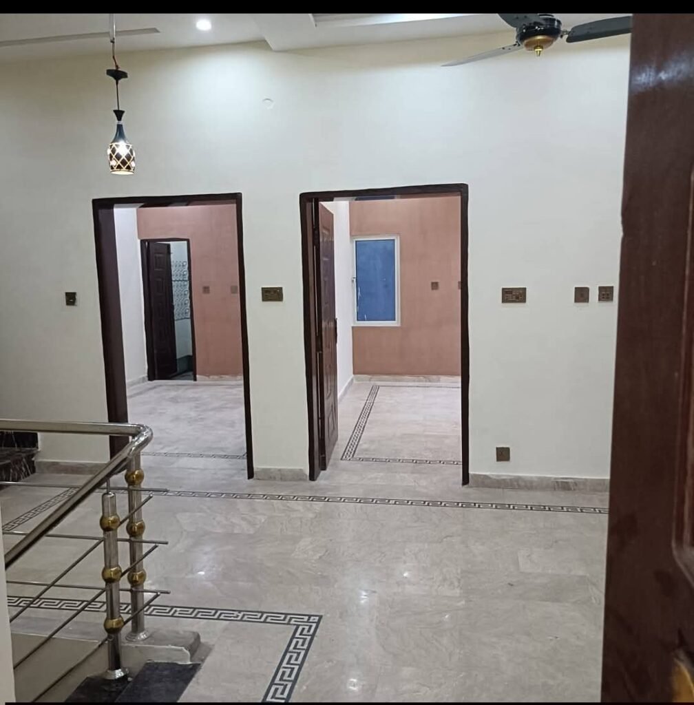 1000171525 1008x1024