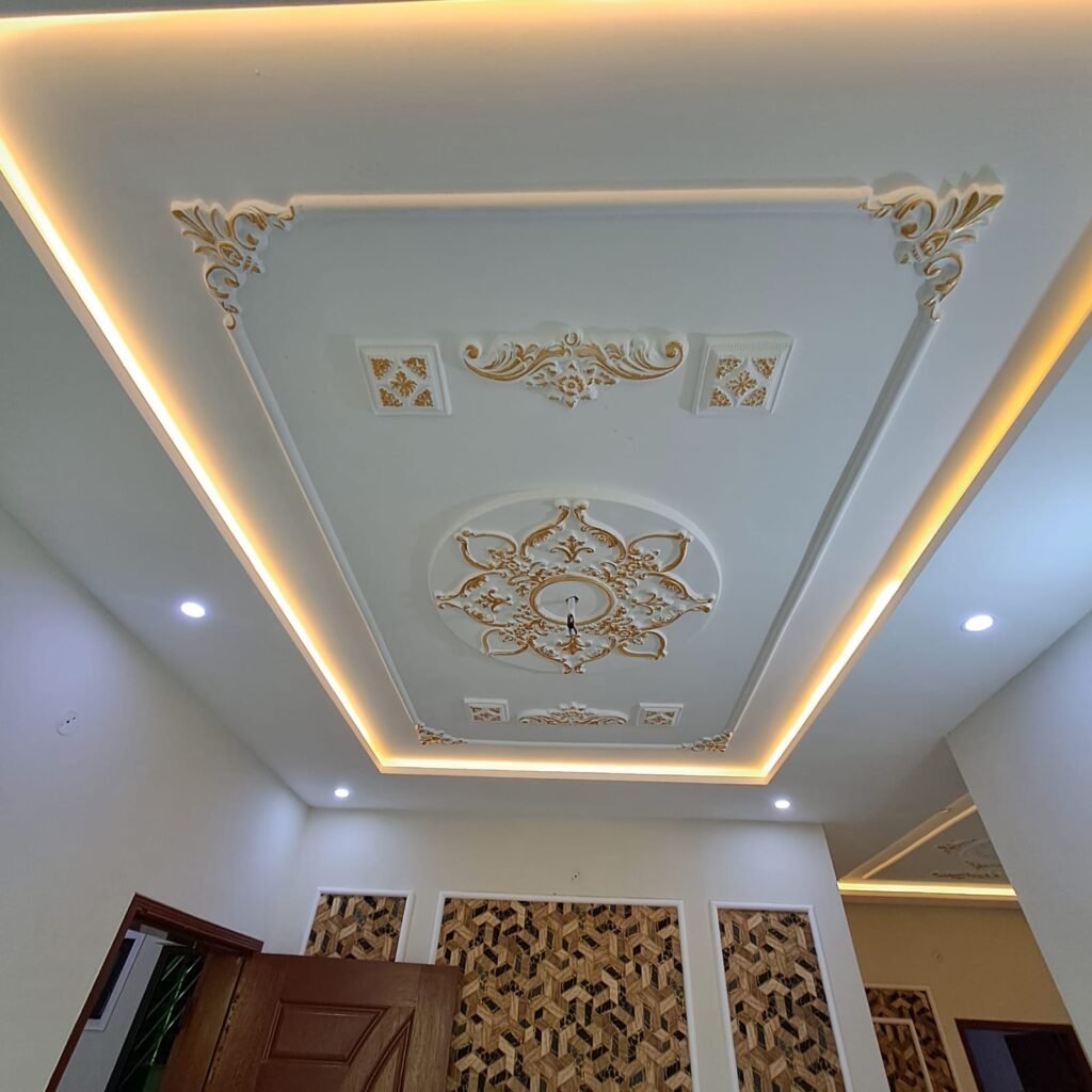 1000208826 1024x1024