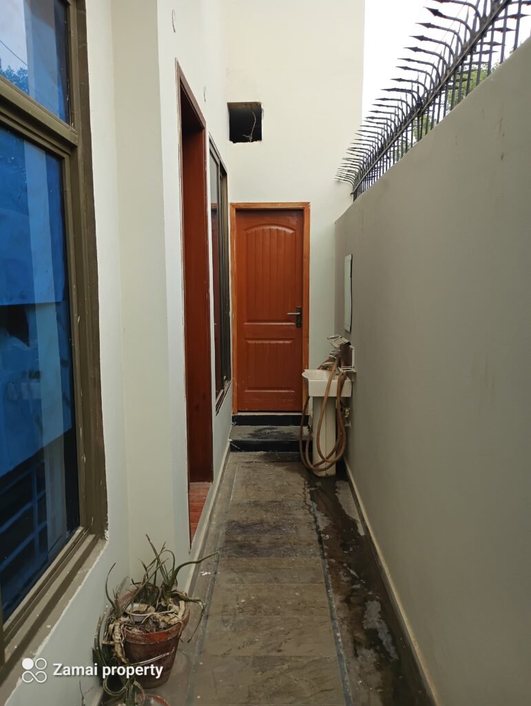 1000259412 1 771x1024