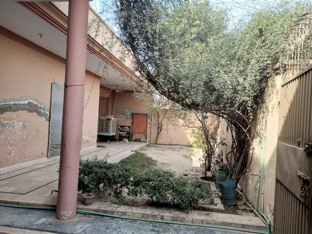 IMG 20260124 WA0026 1024x768