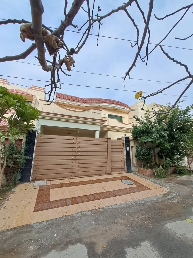 IMG 20260124 WA0035 768x1024