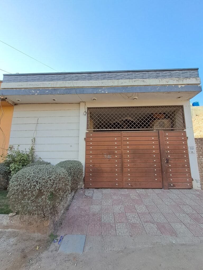 IMG 20260207 WA0008 768x1024