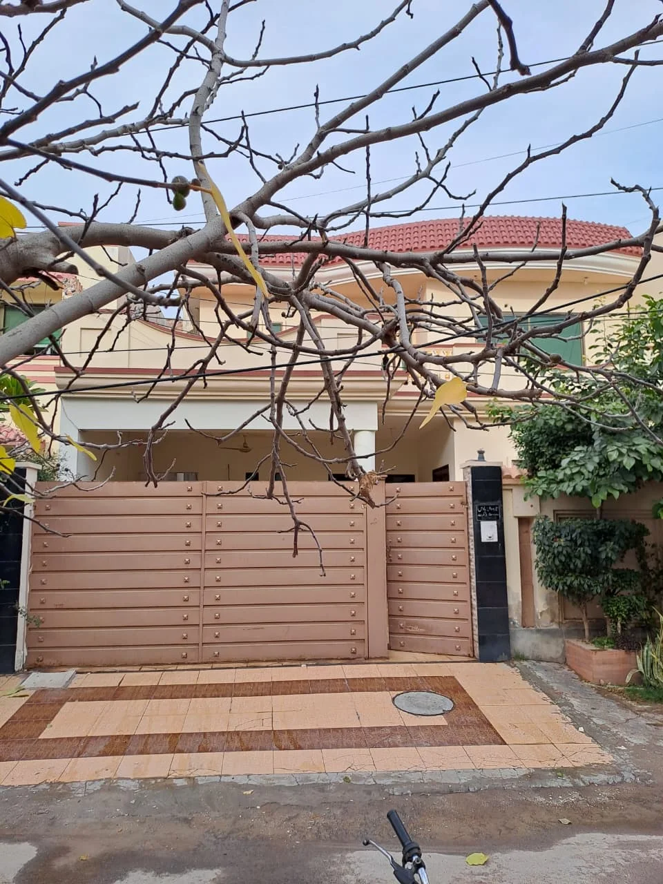 IMG-20260124-WA0029-1